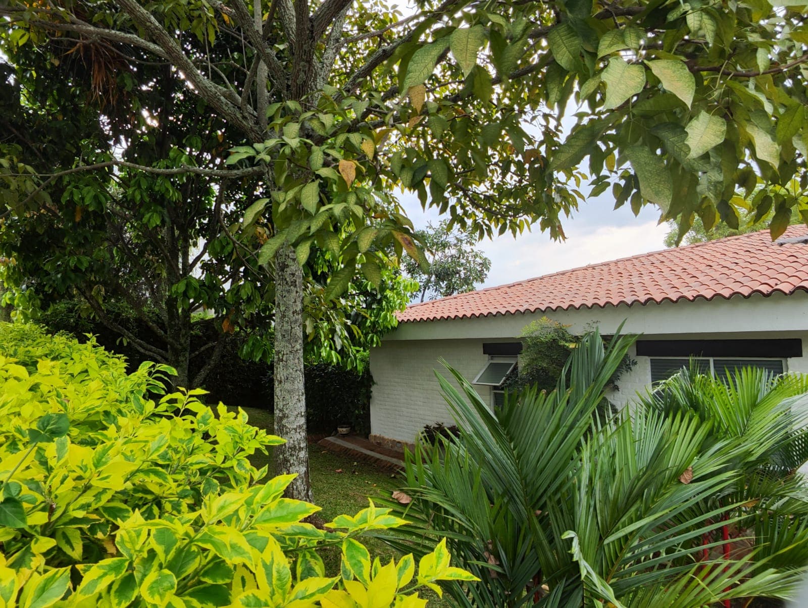 Casa en venta en Pance, Cali, ID TL3196