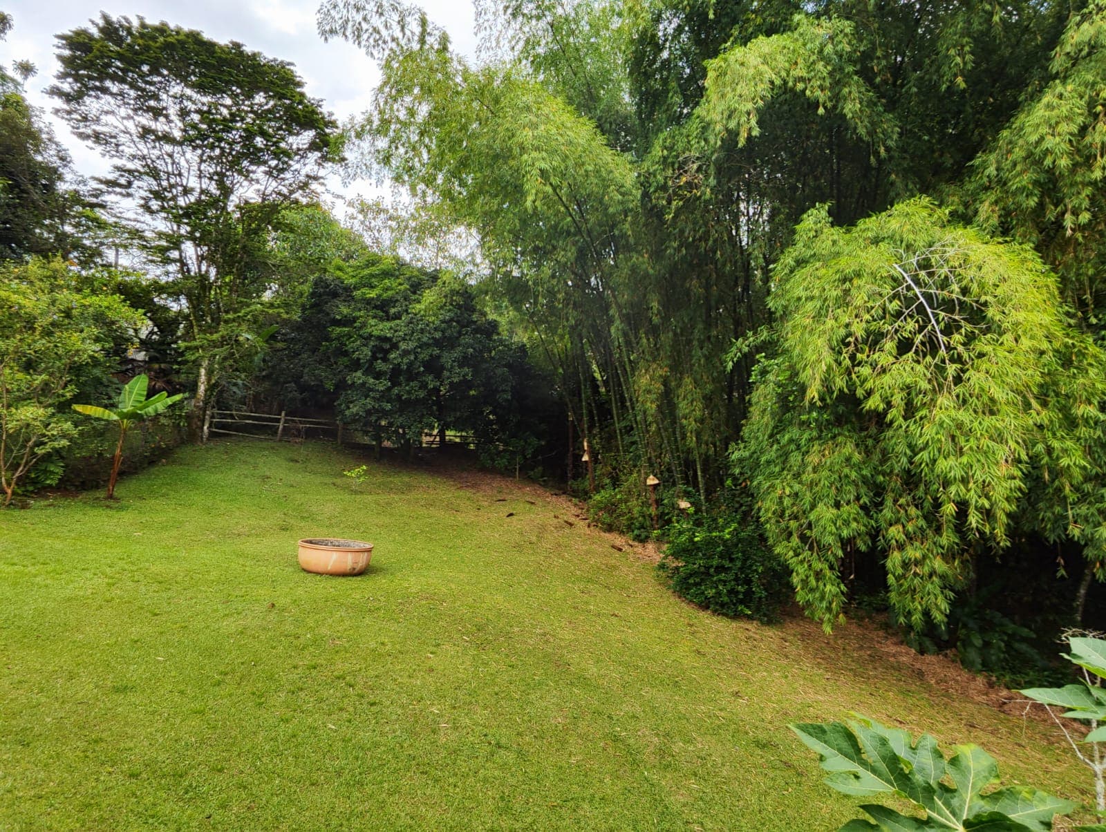 Finca en venta en Pance, Cali, ID FV7803